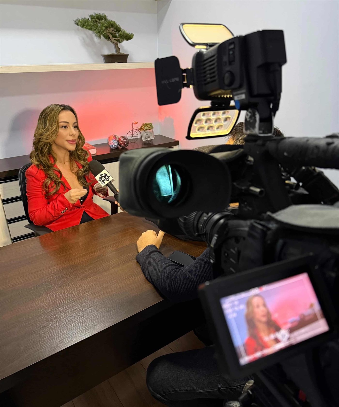 Dra. Raquel Marcondes concedendo entrevista no escritório